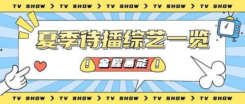娱乐吃瓜君是营销号吗,揭秘其是否为热门营销号背后的真相  第2张