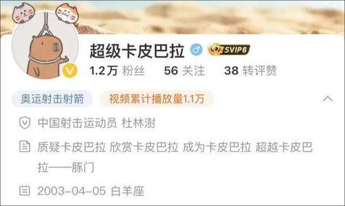 爆料四姐视频下载网站最新 第2张 爆料四姐视频下载网站最新 第2张