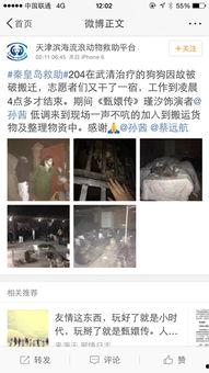 娱乐圈爆料流浪狗 第1张 娱乐圈爆料流浪狗 第1张